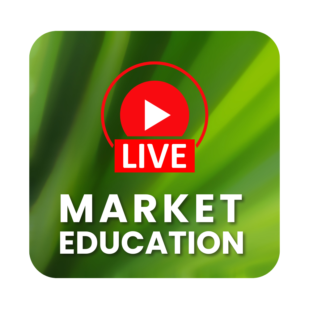 Live Market, Live Learning